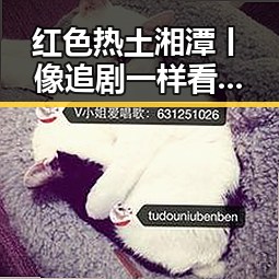 红色热土湘潭丨像追剧一样看明星八卦,实锤爆料揭示白宫调查局挫败针内幕