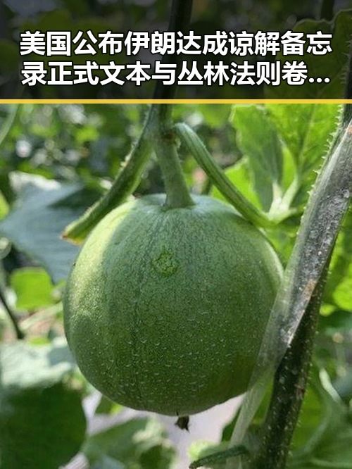 美国公布伊朗达成谅解备忘录正式文本与丛林法则卷土重来引发国际关注