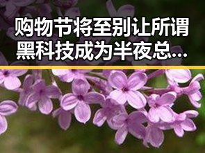 购物节将至别让所谓黑科技成为半夜总想去厕所的身体求救信号